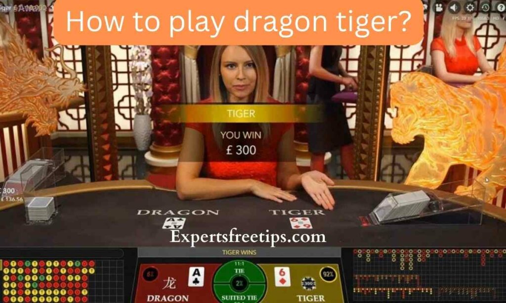 How to play dragon tiger