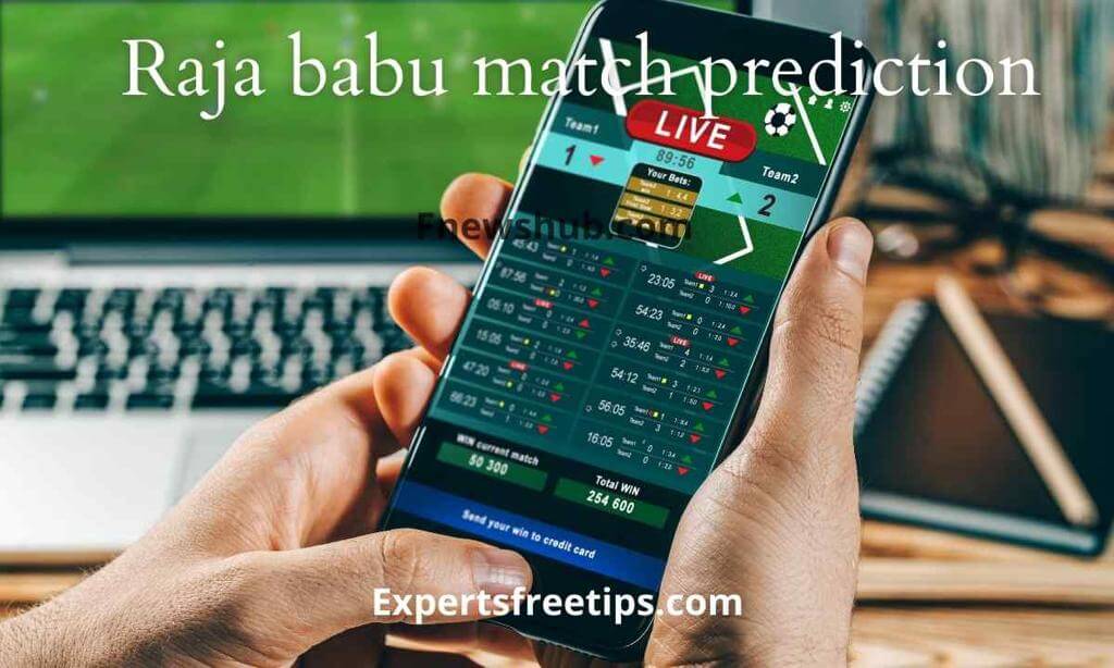 Raja Babu Match Prediction