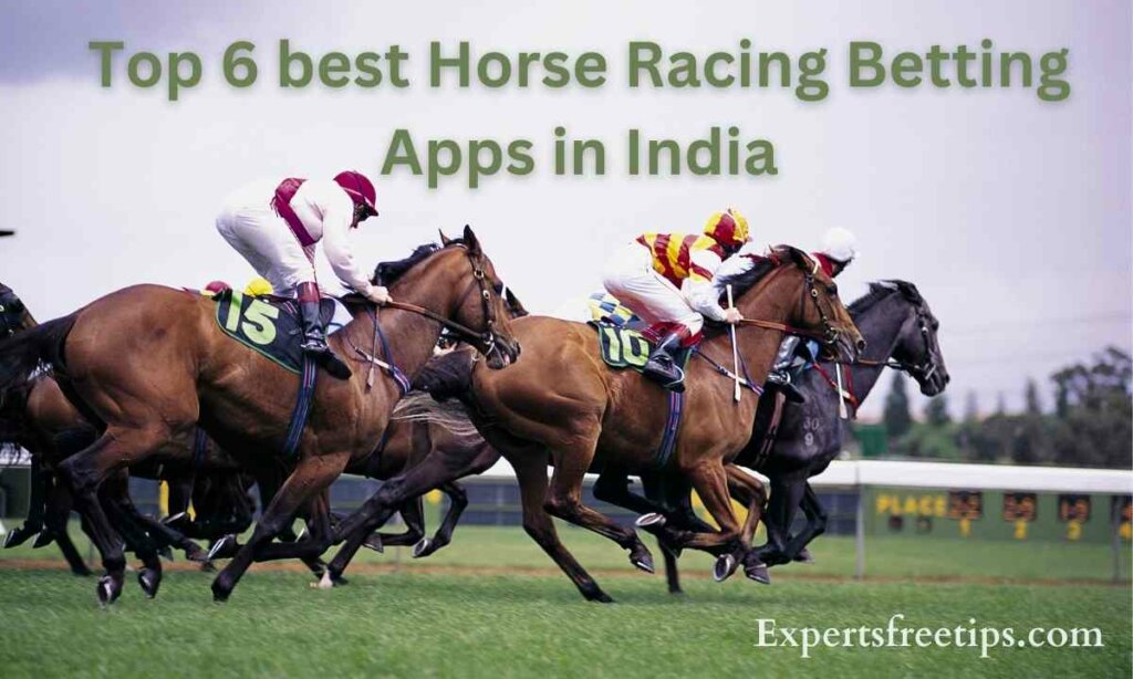 Horse Racing Betting Apps in India